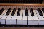 Busch Music